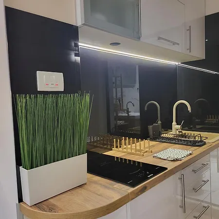 Luxury Square 2214 Belgrado